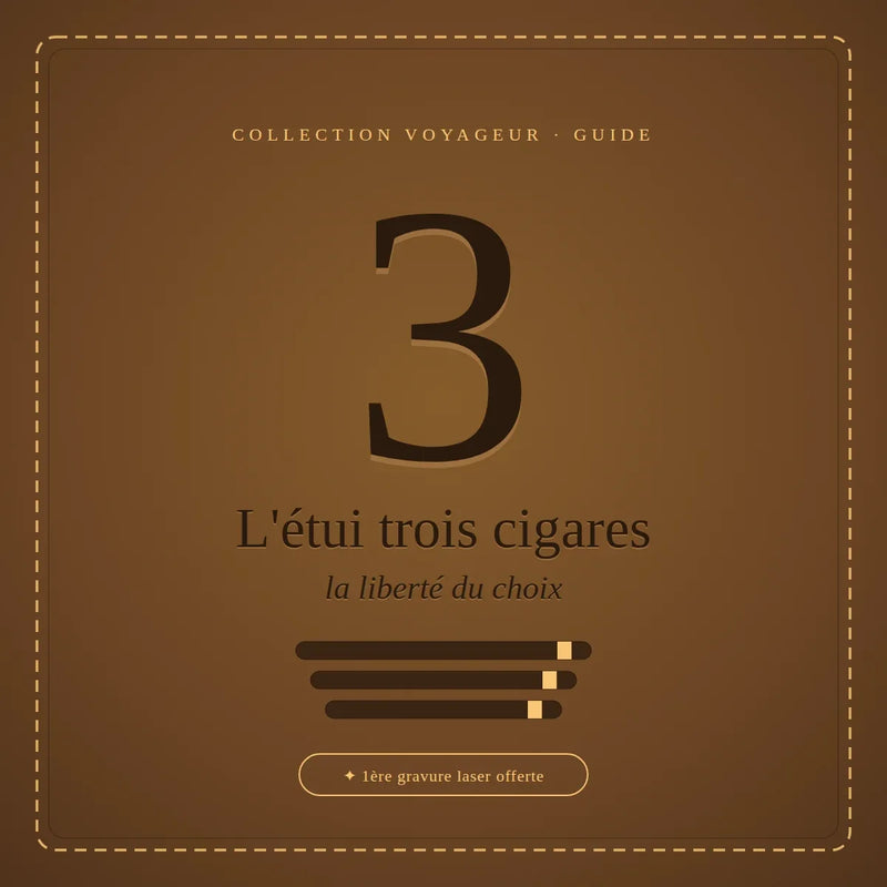 3-Cigar Case: A Guide to Choosing and Customizing