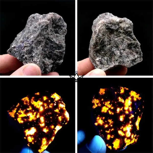 Raw collectible minerals, natural stones sold individually or in bags — LITHOS, Yooperlite (UV fluorescent) / 1 piece