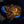 Yooperlite brute fluorescente, pierre qui s'illumine sous UV - LUCIOLE - [