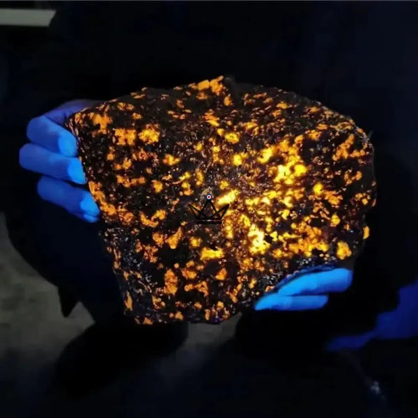 Yooperlite brute fluorescente, pierre qui s'illumine sous UV - LUCIOLE - ["maj-desc","maj-filtre","Objets Scientifiques"] - Objets Scientifiques - Cadeau, Noël, Anniversaire, Original, Fête des pères, fête des mères - Atelier Atypique