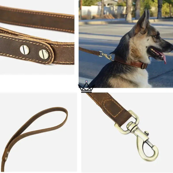 Customizable leather dog leash - Canis Lupus Voyager