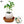 Load image into Gallery viewer, EGGLING - L&#39;oeuf plante X3 - Atelier Atypique
