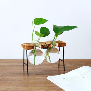 Terrarium en ampoule - ETABLY - ["maj-filtre","Objets Scientifiques"] - Objets Scientifiques - Cadeau, Noël, Anniversaire, Original, Fête des pères, fête des mères - Atelier Atypique
